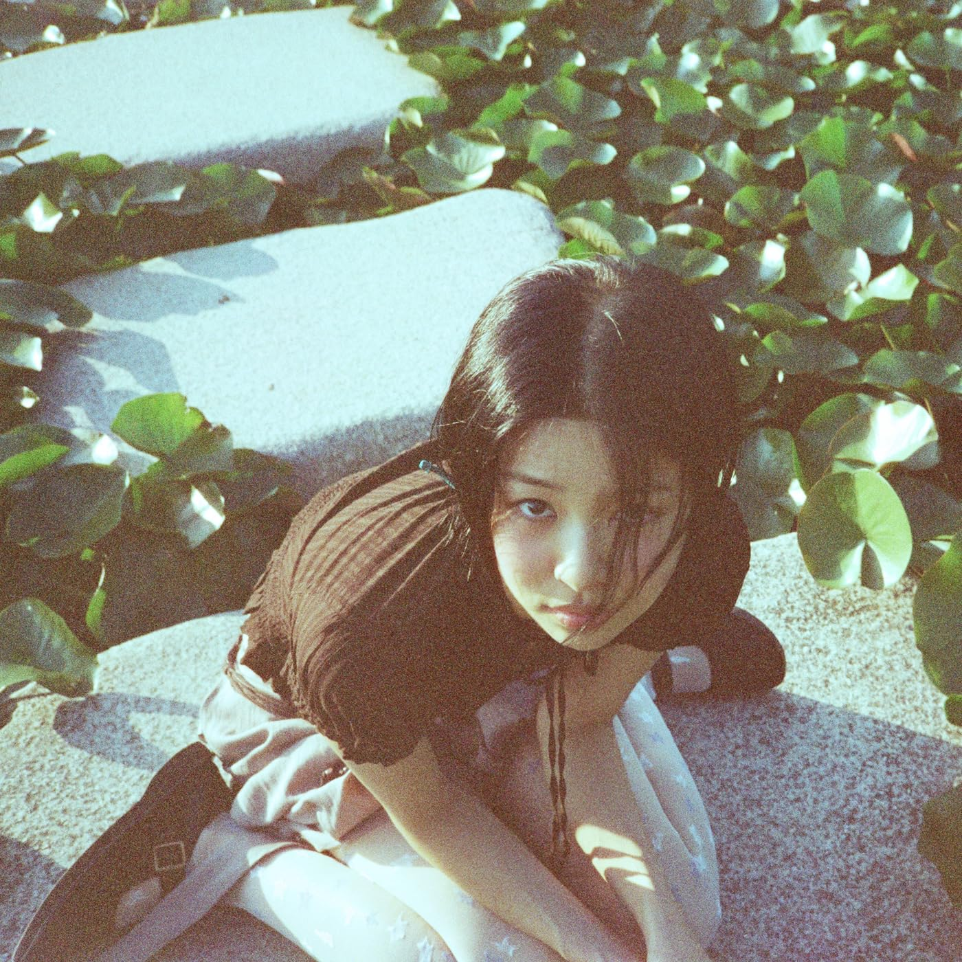 Image Cover